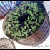 Drying Herbs 2
