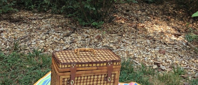 Tips for having an ecofriendly picnic!   #SCJgreenerchoices
