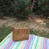 Eco-Friendly Picnic August 2012 SCJ Diane