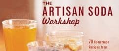 The Artisan Soda Workshop Book Review