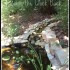 backyard design