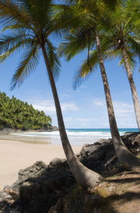 Brazilian Secluded Beach