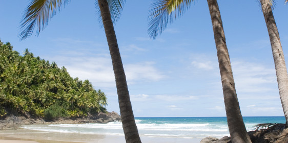 Brazilian Secluded Beach