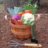 10 gardening supplies garden pic edit