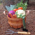 gardening supplies garden pic edit