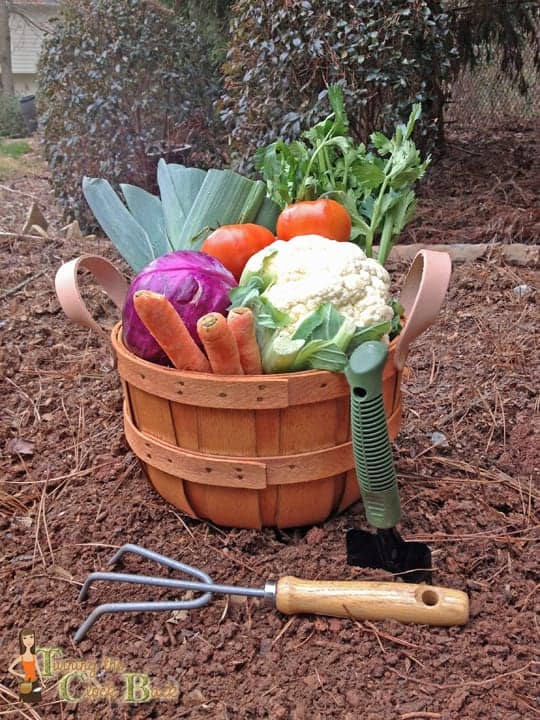 gardening supplies garden pic edit