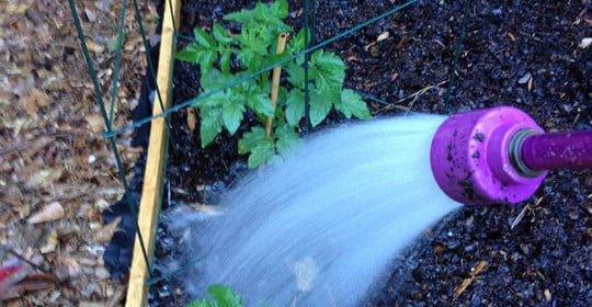 An Update On My Organic Garden #DigIn #ad