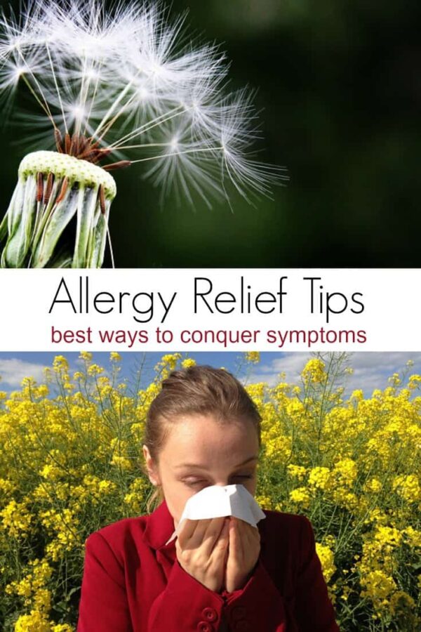 Best Allergy Relief Tips for Year Round Allergies - Turning the Clock Back