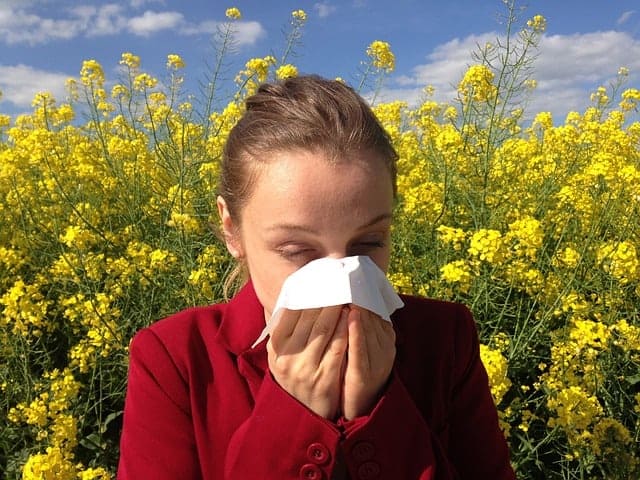 allergies and woman blowing nose