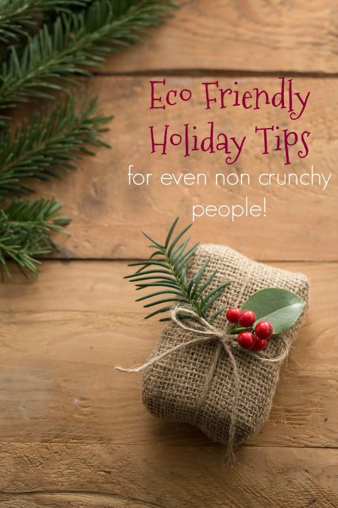 Eco Friendly Holiday Ideas for Even Non Crunchy People!