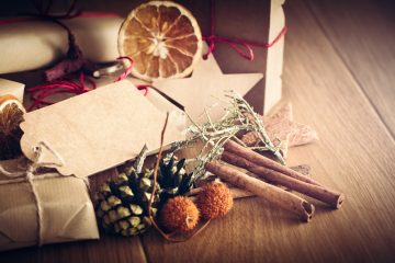 Eco Friendly Holiday Ideas for Even Non Crunchy People!