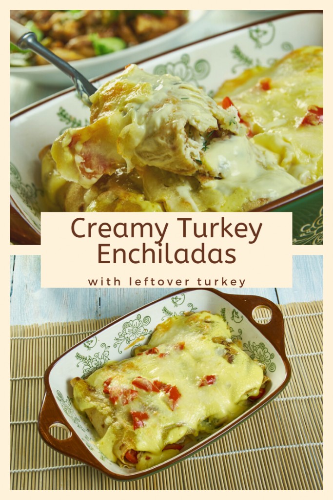 Creamy Turkey Enchiladas Recipe with Leftover Turkey