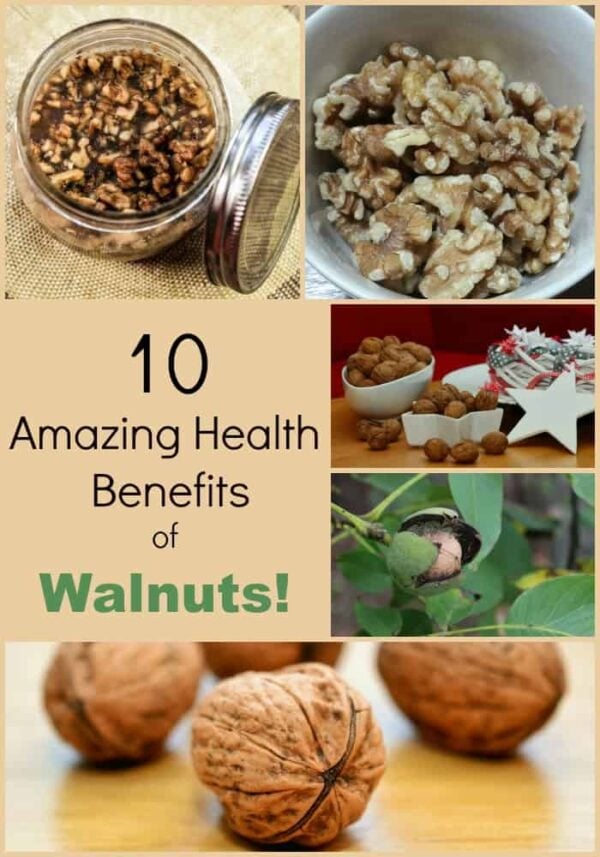 Health Benefits of Walnuts Turning the Clock Back