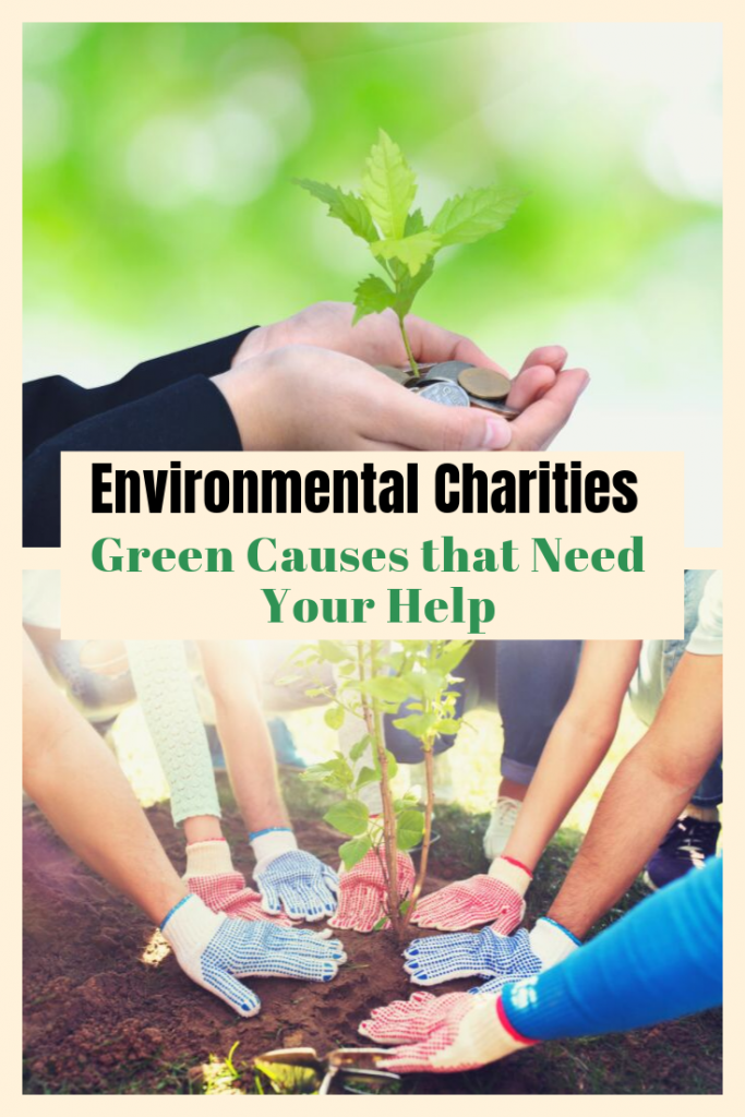 Environmental charities and green causes that need your help