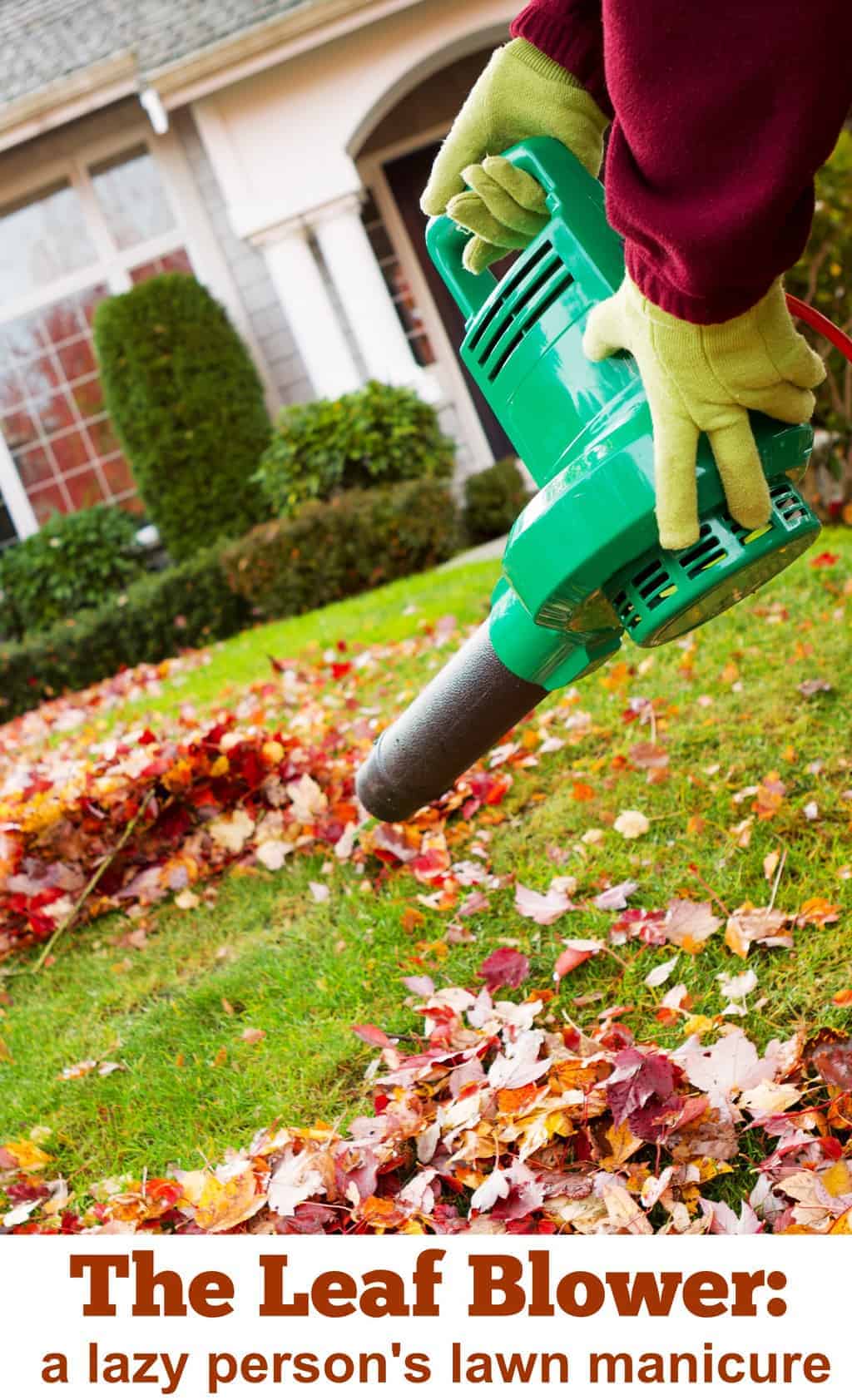 maple leaf blower