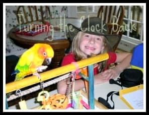 petri Exotic Pet sun conure
