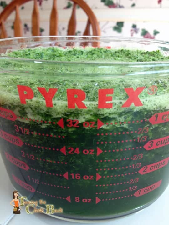 making natural green food coloring How to Make Natural Green Food Coloring