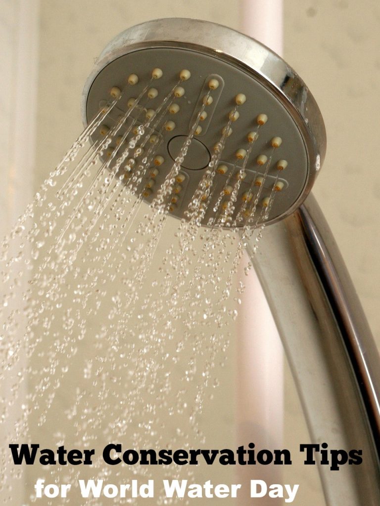 How to Use Less Water at Home without Giving Up Your Shower