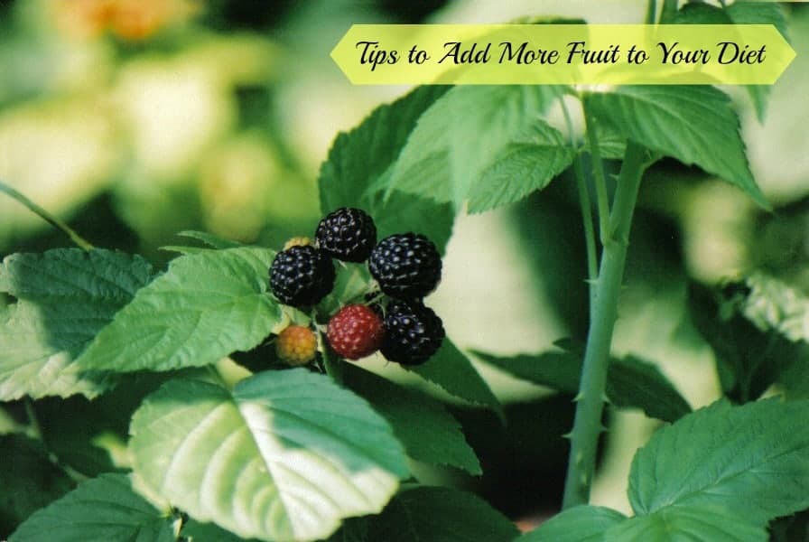 how to get more fruit in your diet how to get more fruit in your diet