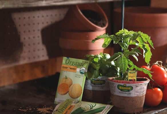 outdoor projects like organic gardening outdoor projects organic gardening