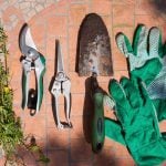 Essential Gardening Supplies for Home Gardeners
