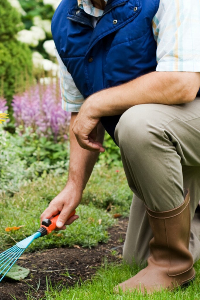 Man working in the garden