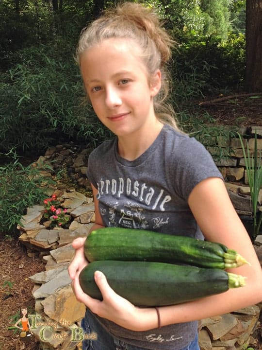 how to freeze zucchini