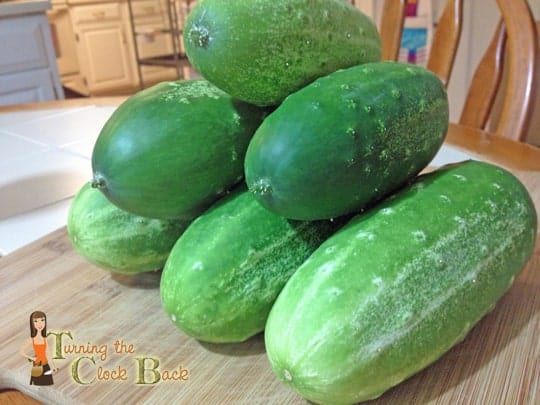 cucumbers for cucumber mint sauce