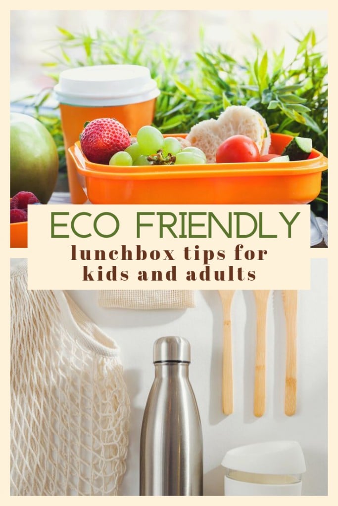 Eco friendly lunchbox tips for kids and adults