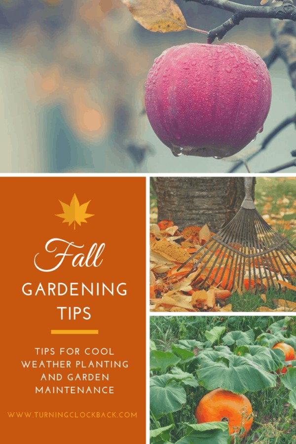 Fall Gardening Tips and Putting a Garden to Bed - Turning the Clock Back