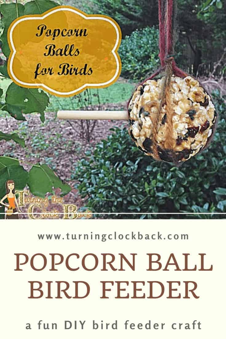 Popcorn Ball Bird Feeder hanging from a tree