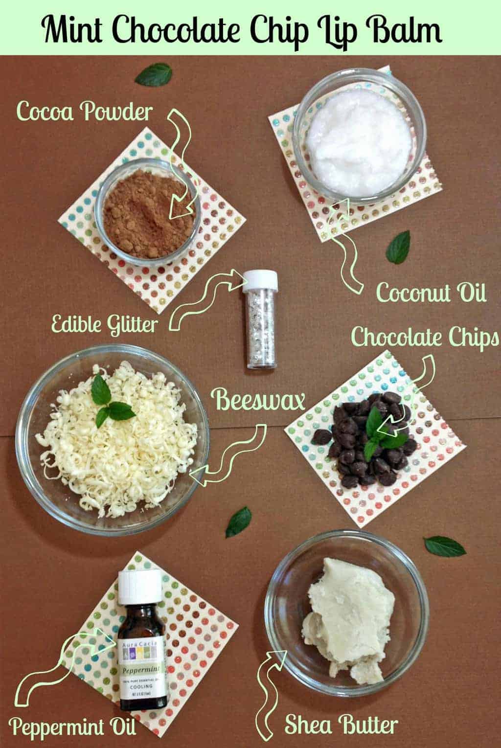 Mint Chocolate Chip Homemade Lip Balm Turning the Clock Back