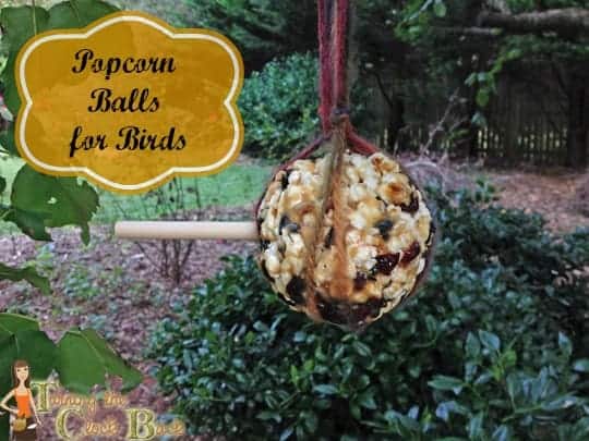 Attract Birds to your Yard with popcorn