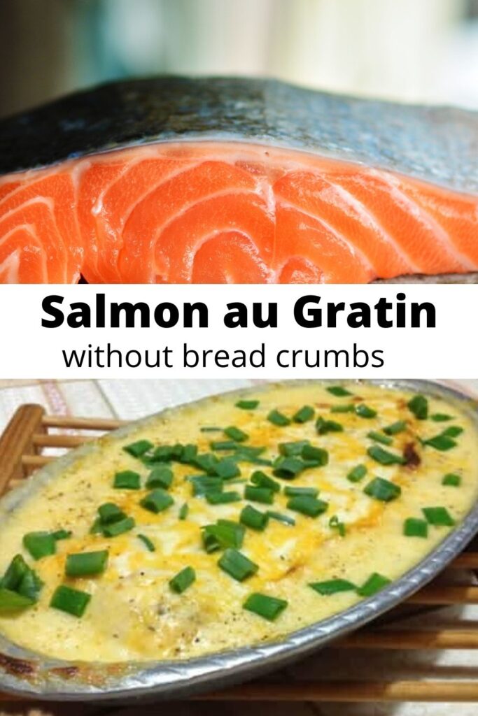 salmon gratin collage with fresh salmon fillets