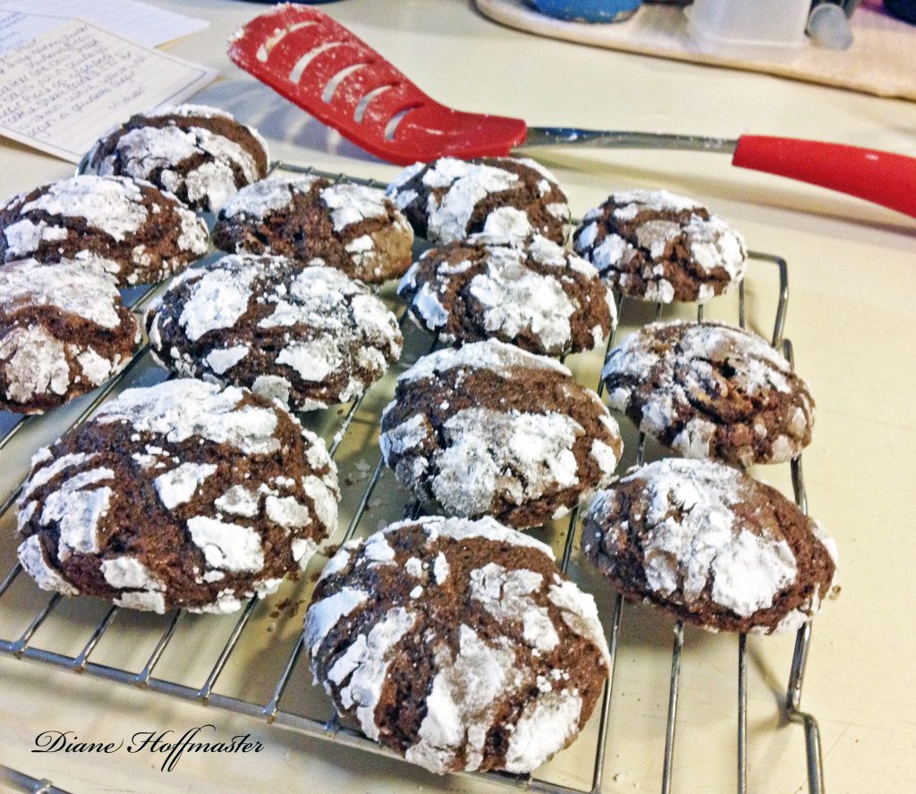 Easy Chocolate Crinkles