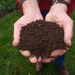 Cheap and Natural Organic Gardening Solutions for Frugal Gardening!