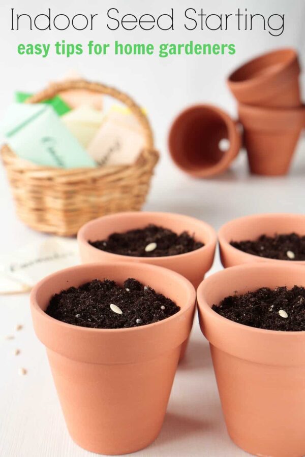 Indoor seed starting tips for home gardening turning the clock back