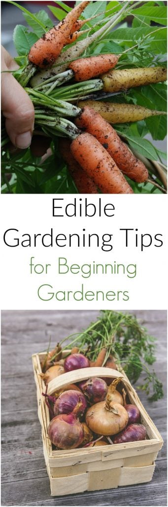 Edible Gardening Tips for Beginning Gardeners