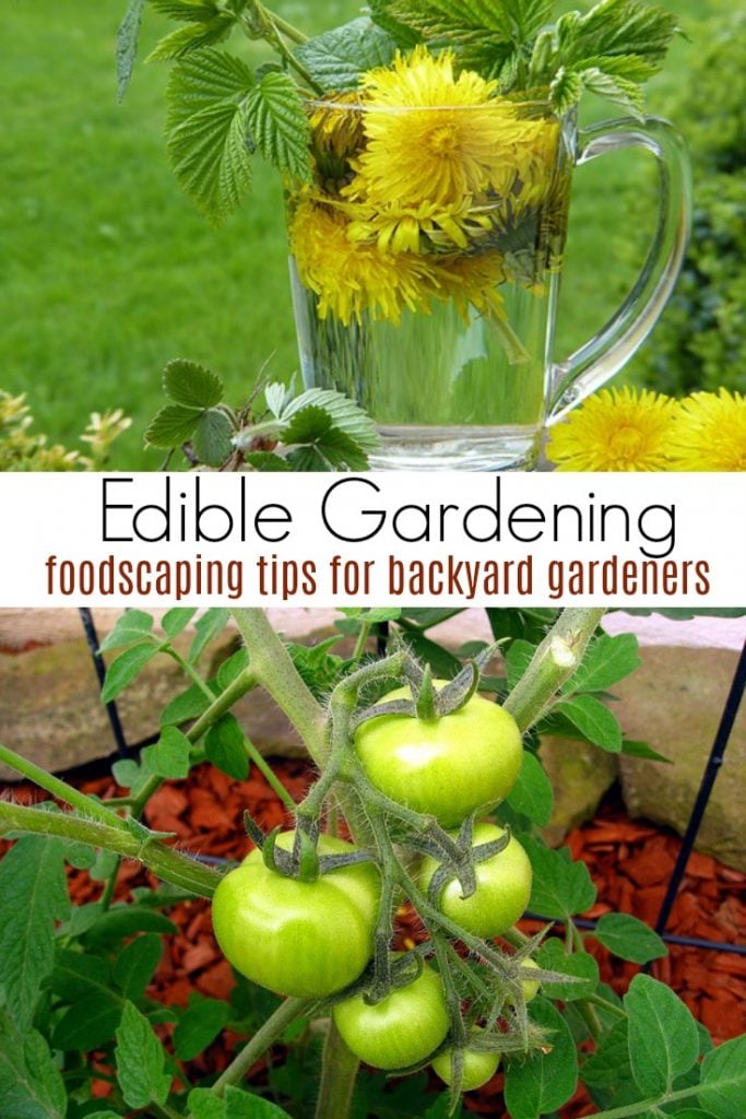 Edible Gardening and Foodscaping Tips for Backyard Gardeners