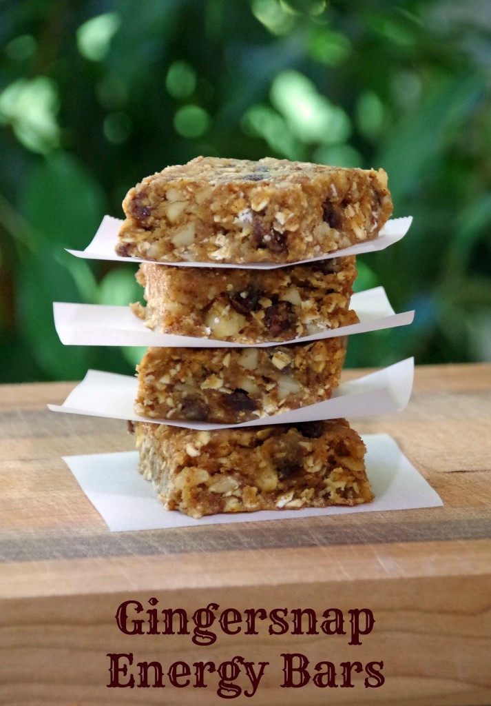 Gingersnap Energy Bar Recipe to Fuel Your Workout