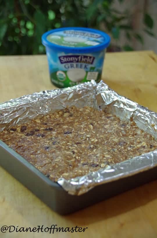 Gingersnap Energy Bar Recipe with Greek Yogurt