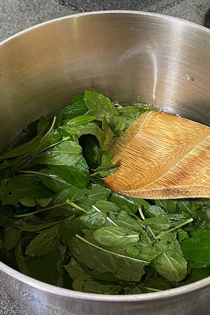 fresh mint in small pot to make simple syrup