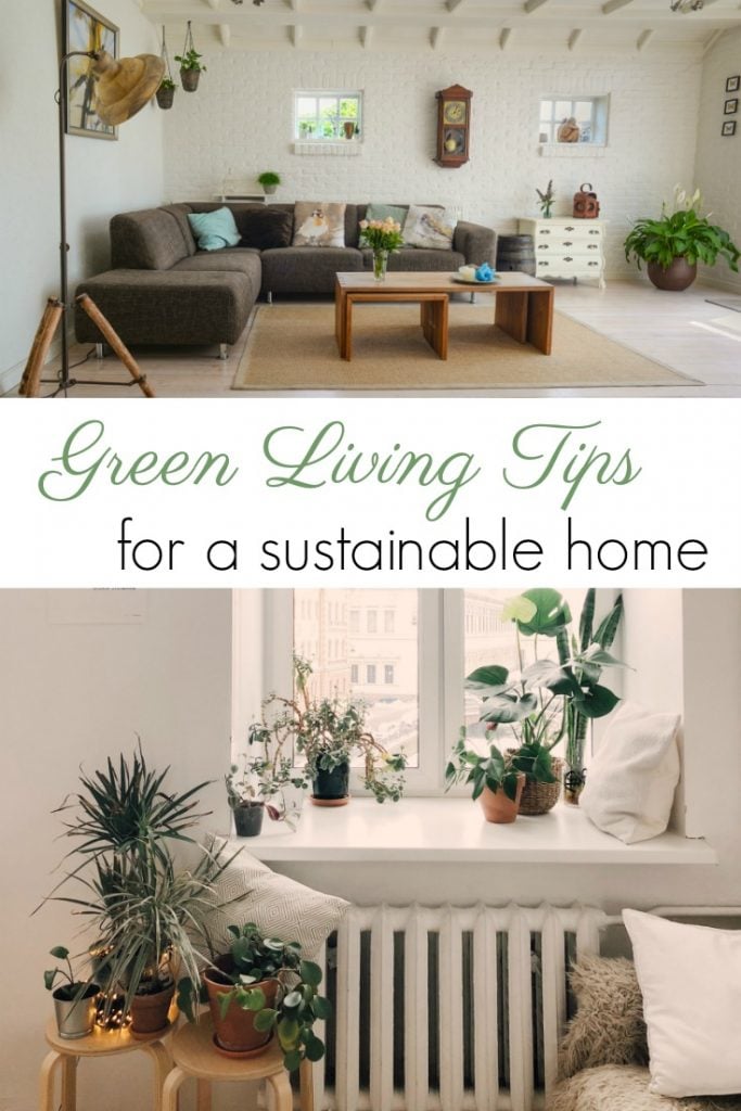  How to be an Eco Friendly Home Owner This Spring