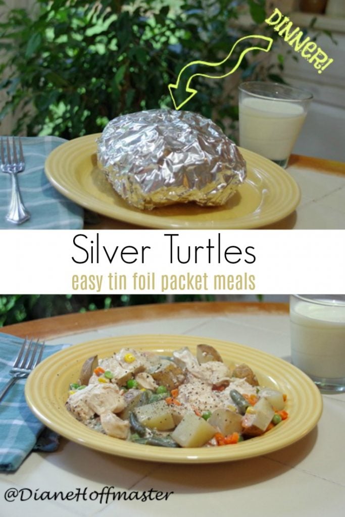 How to Make Silver Turtles