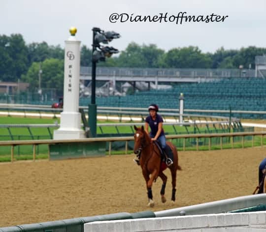 Kentucky Derby and Churchill Downs