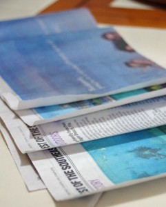 DIY Earwig Trap for Your Garden - Turning the Clock Back