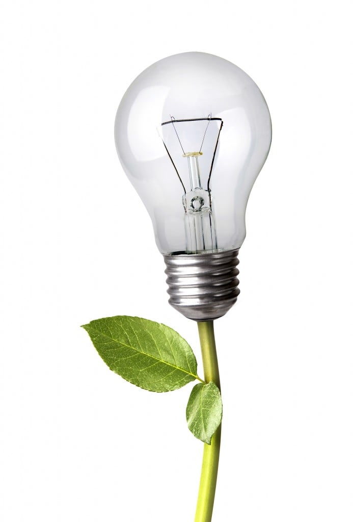 © Nexus7 | Dreamstime.com - Lightbulb As A Plant Photo