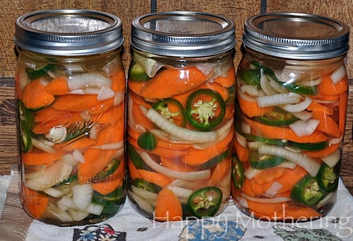 how to preserve hot peppers