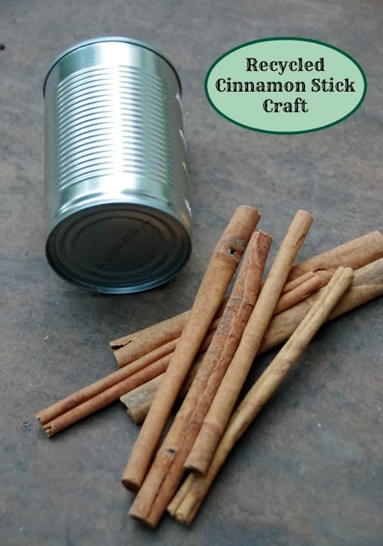 Recycled Crafts: A Cinnamon Stick Centerpiece