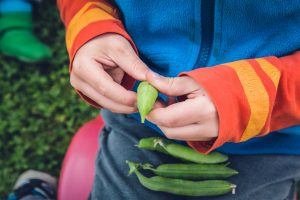 kid holding beans